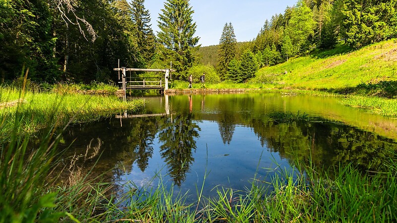 Zemljevid