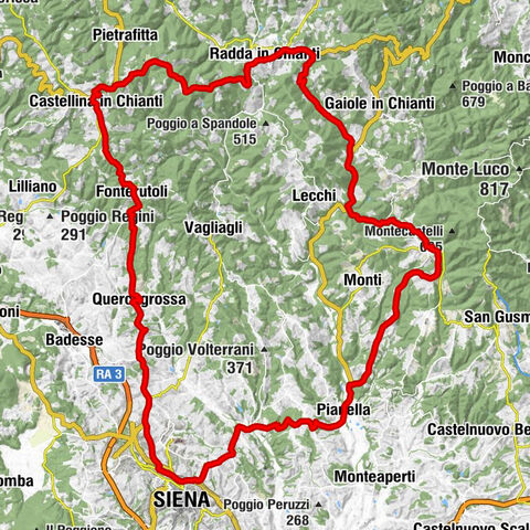 Da Siena a Castellina in Chianti – giro ad anello