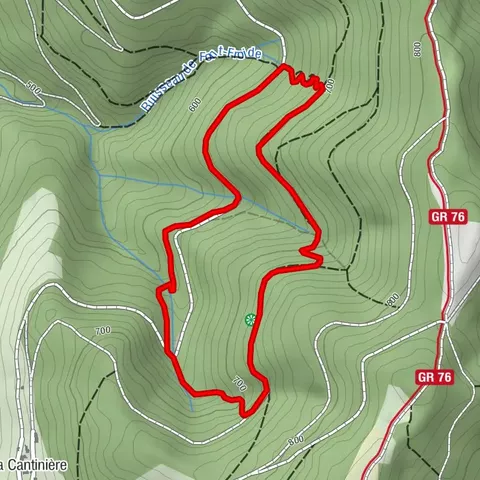 The Cantinière forest