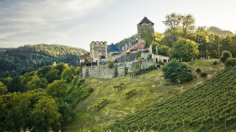 Zemljevid