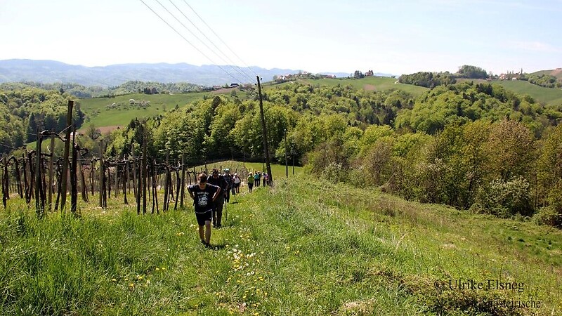 Zemljevid