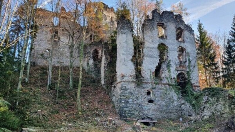 Zemljevid