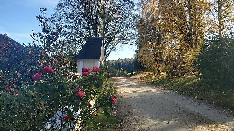Zemljevid