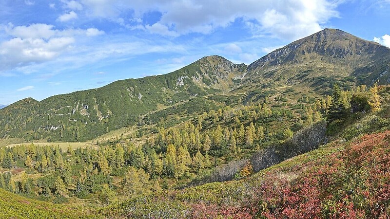 Zemljevid