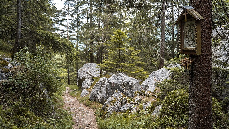 Zemljevid