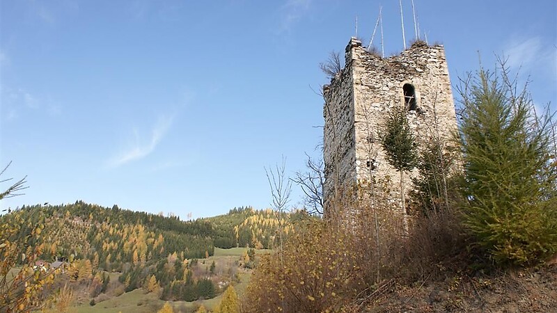 Zemljevid