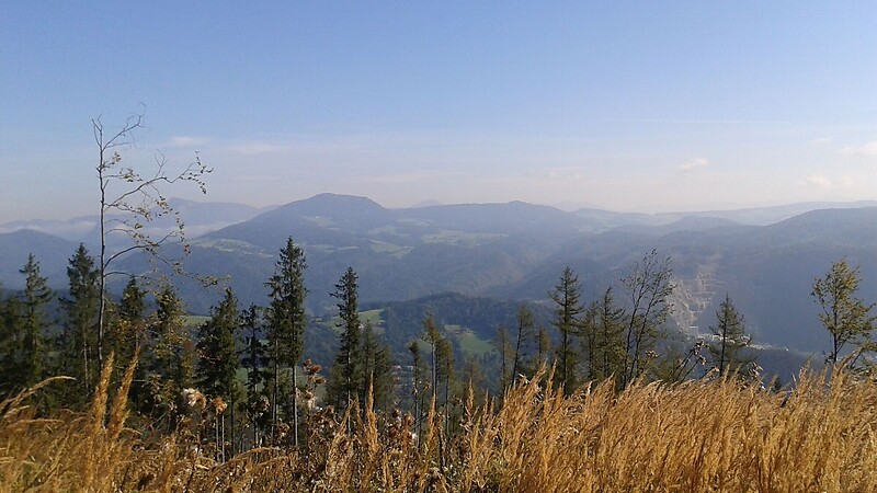 Zemljevid