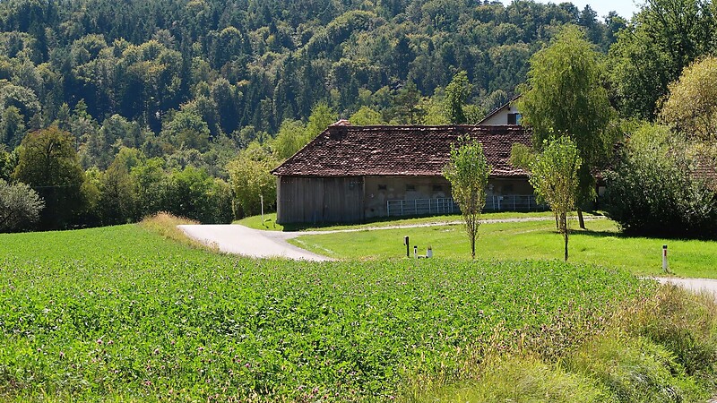 Zemljevid
