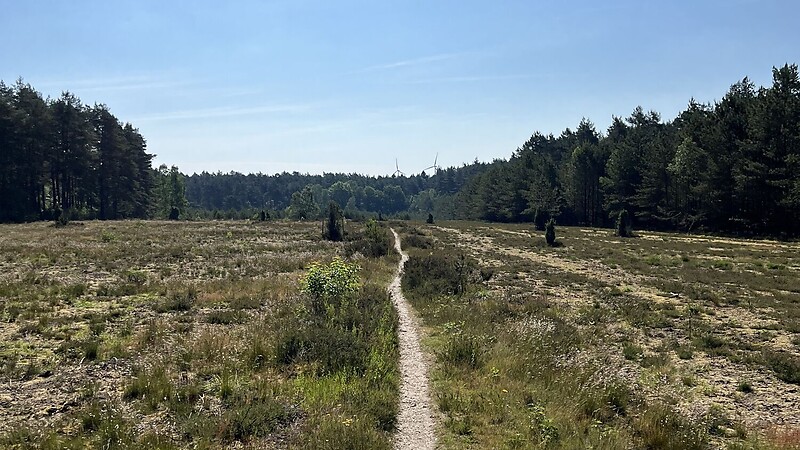 Zemljevid