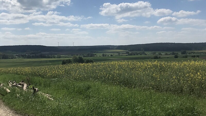 Zemljevid