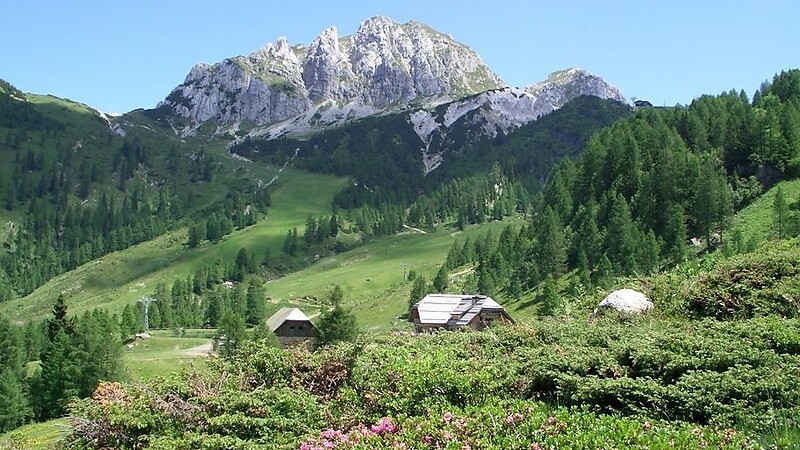 Zemljevid