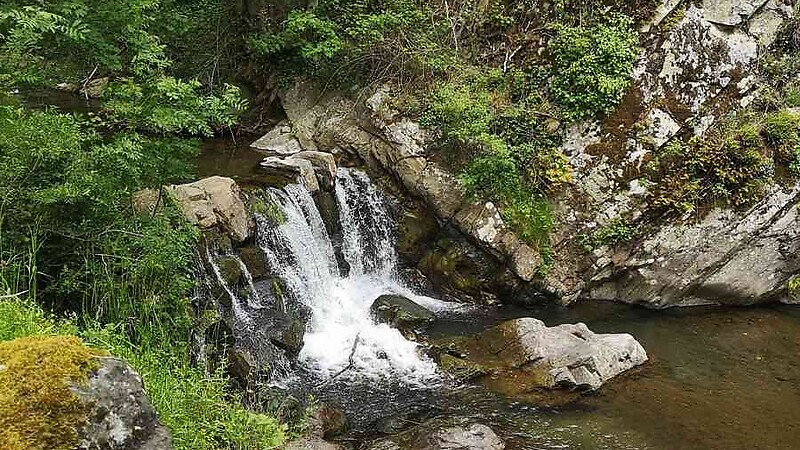 Zemljevid