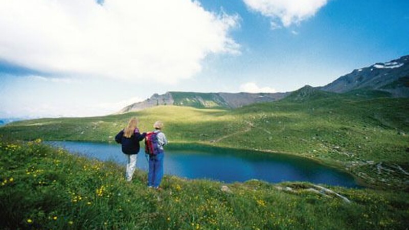 Zemljevid