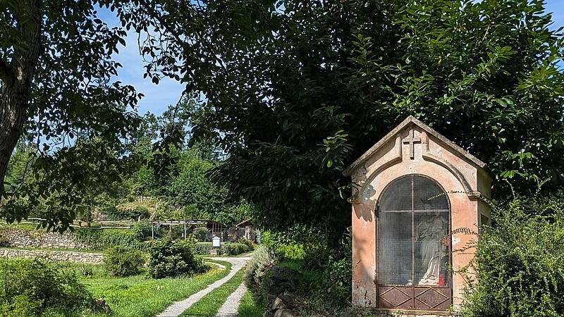 Zemljevid