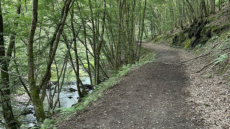 Zemljevid