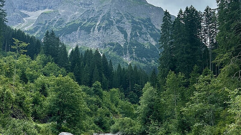 Zemljevid