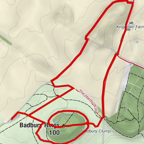 Shapwick - Badbury Rings