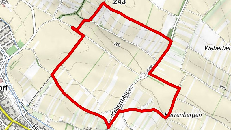 Zemljevid