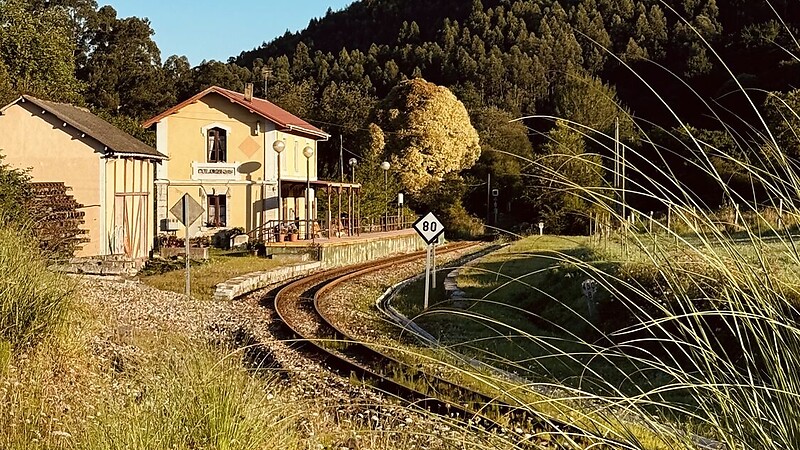 Zemljevid