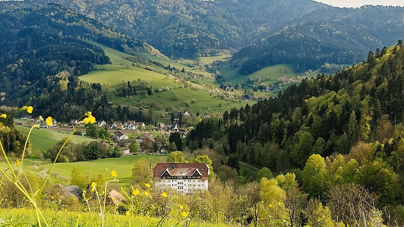 Zemljevid