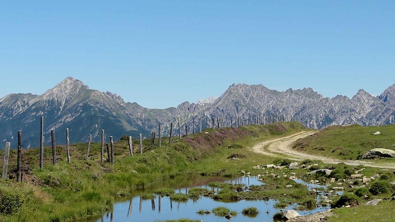 Zemljevid