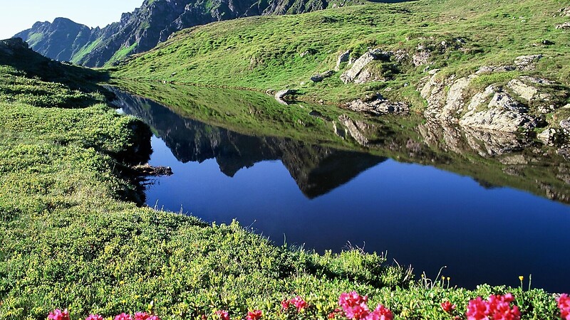 Zemljevid