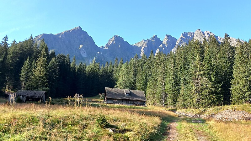 Zemljevid