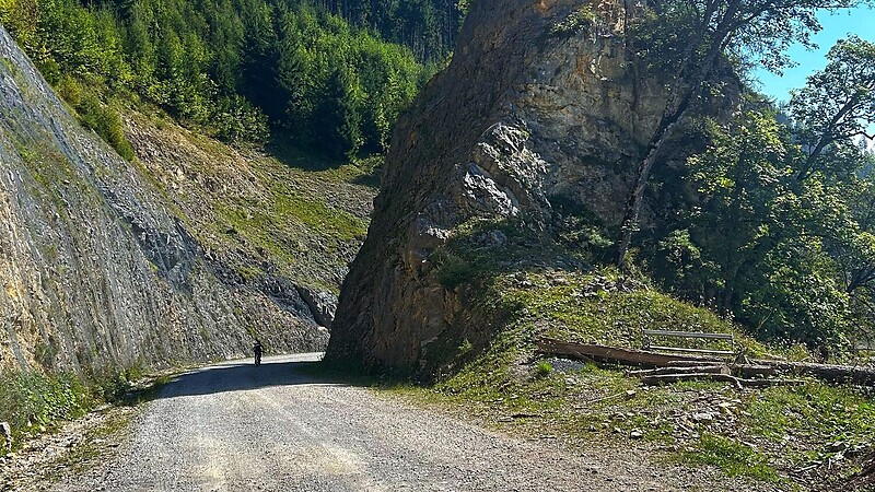Zemljevid