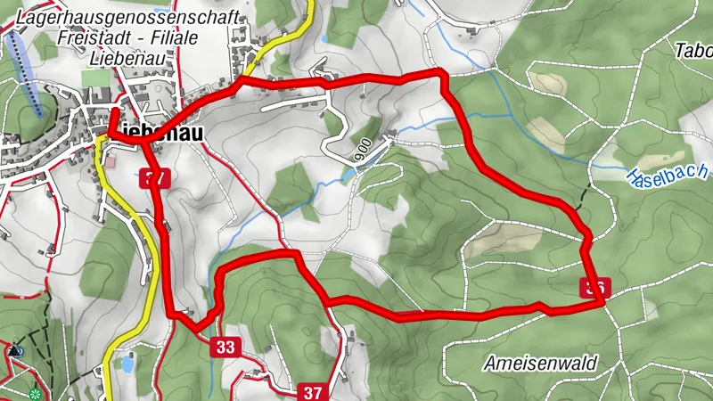 Wachtsteinweg