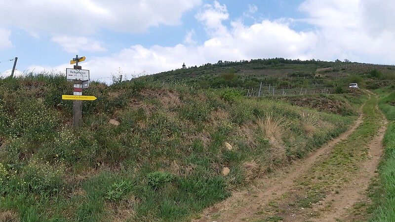 Zemljevid