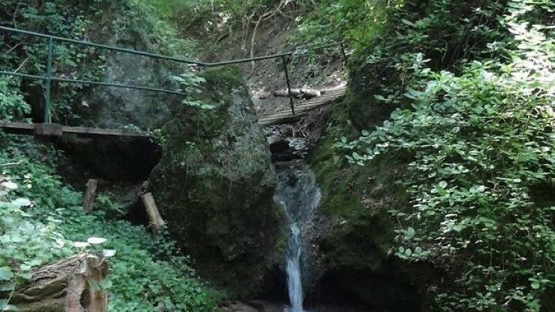 Zemljevid