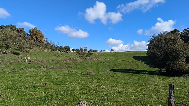 Zemljevid