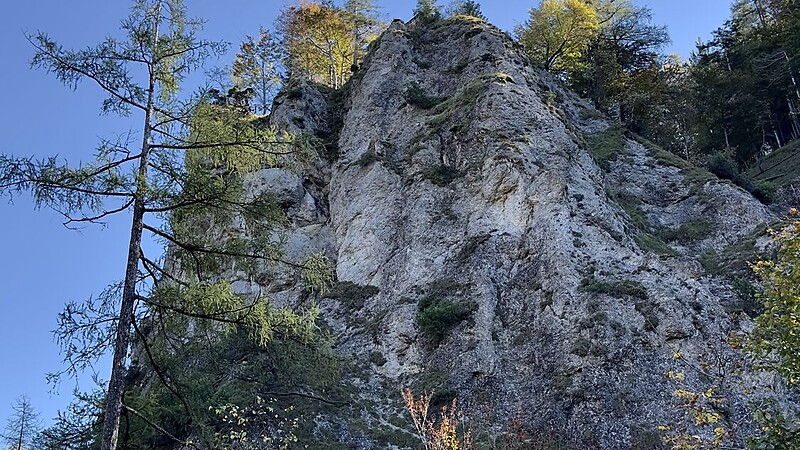 Zemljevid