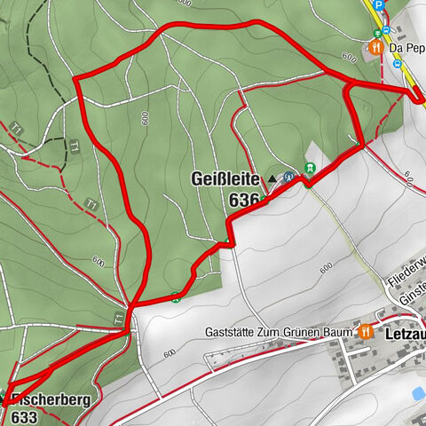 Theisseil - Geißleite - Fischerberg - Weiden in der Oberpfalz