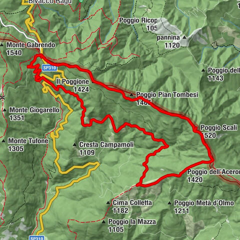 Pratovecchio Stia - Poggio Scali - Poggio dell'Acerone - I Faggi