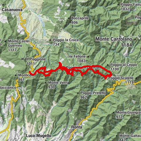 Il Giogo - Poggio dei Prati Piani - Monte Pratone - Varco di Acquabona