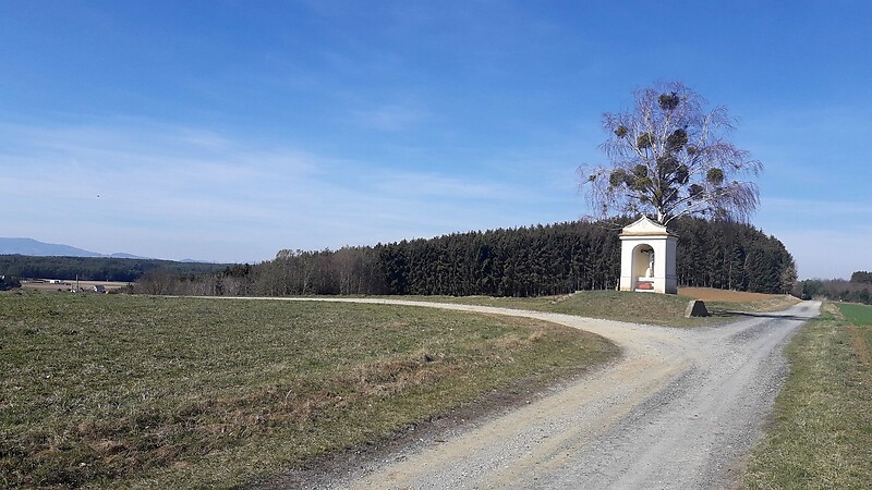 Zemljevid
