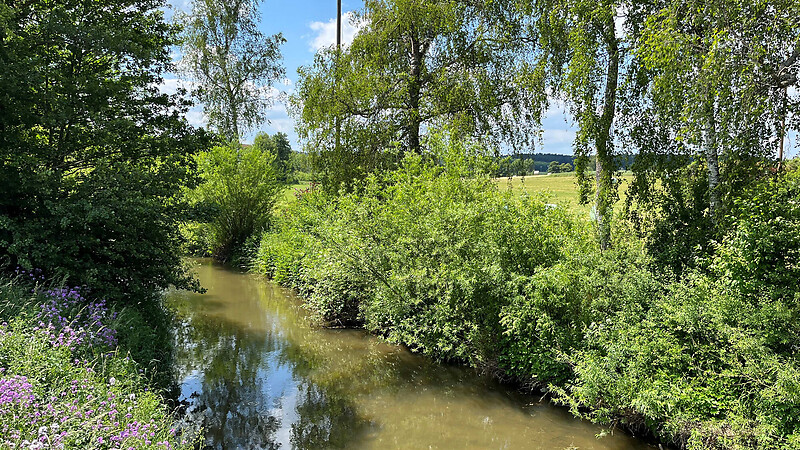 Zemljevid
