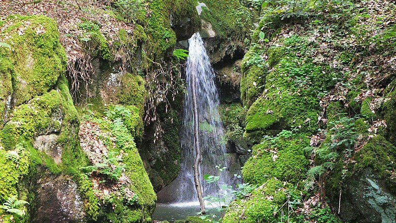 Zemljevid