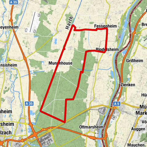 Hardtwald und der alte Kanal
