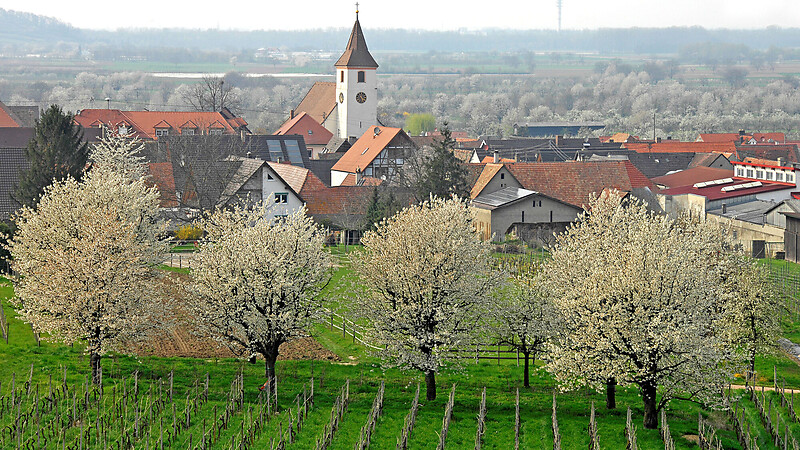 Zemljevid