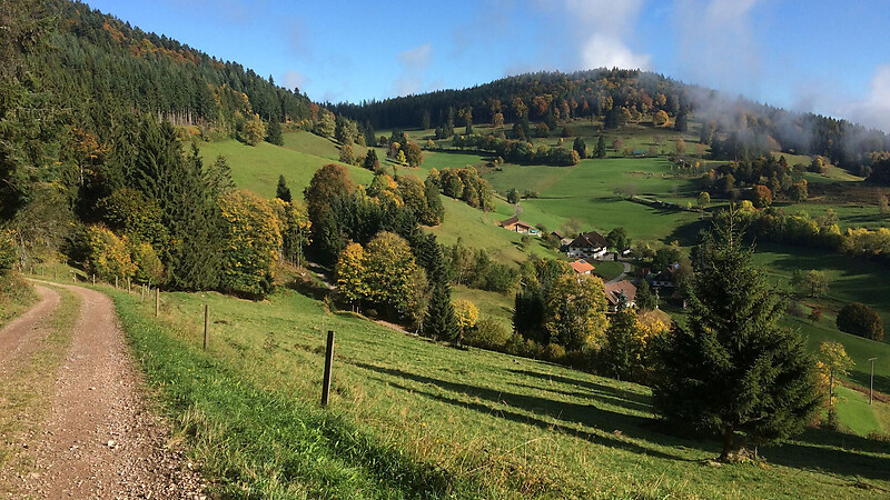 Zemljevid