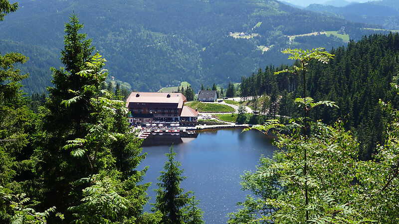 Zemljevid