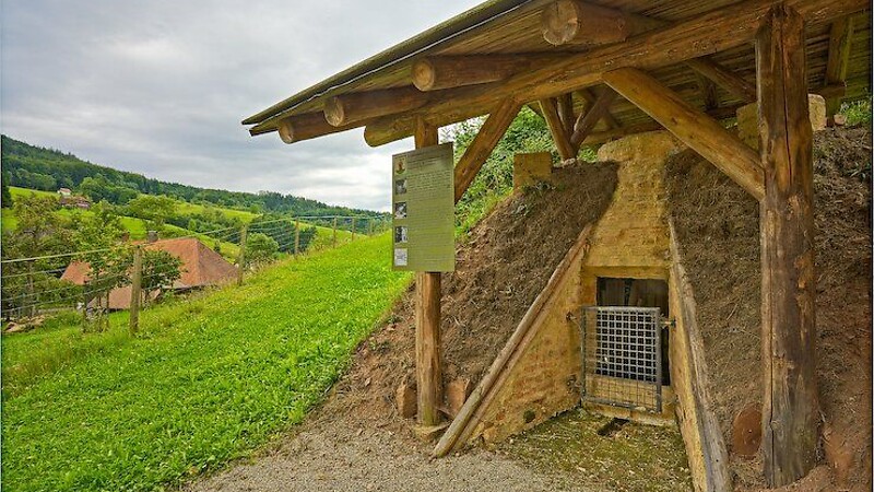 Zemljevid