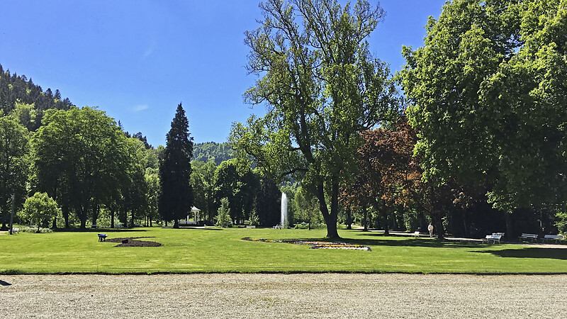 Zemljevid