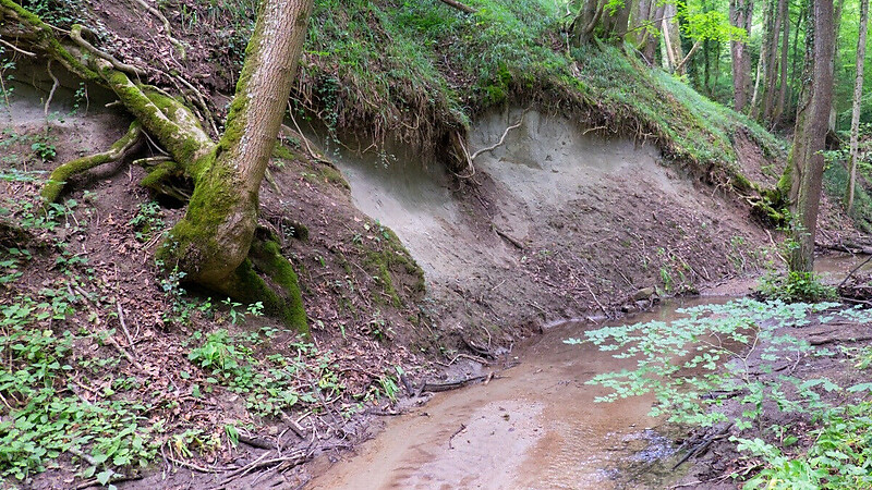 Zemljevid