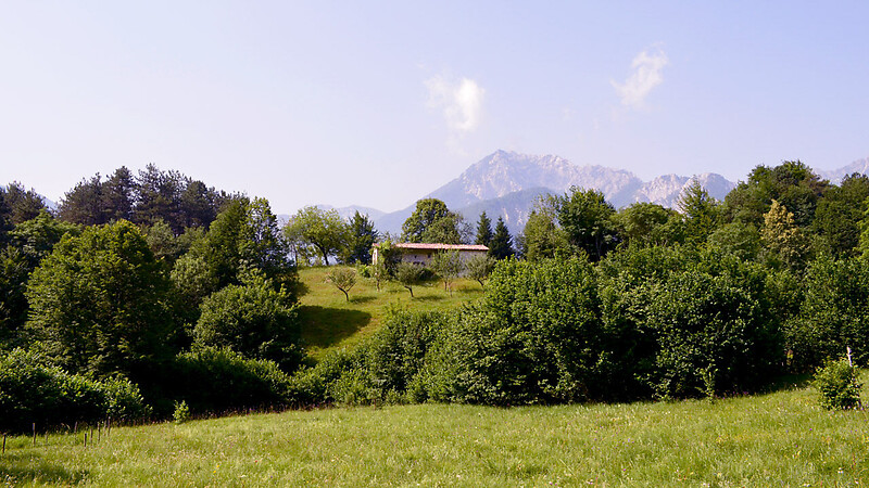 Zemljevid