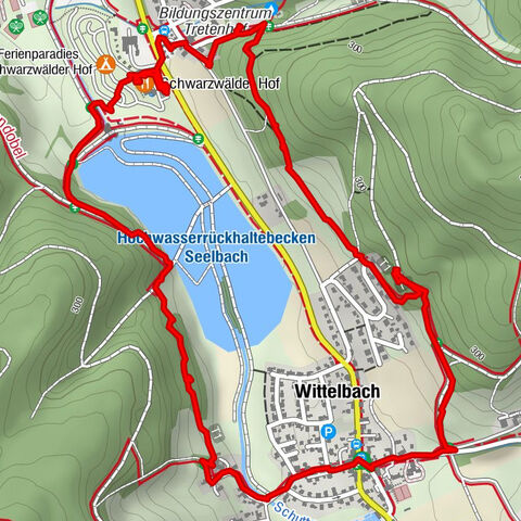 Seelbach, Baden-Württemberg/Deutschland