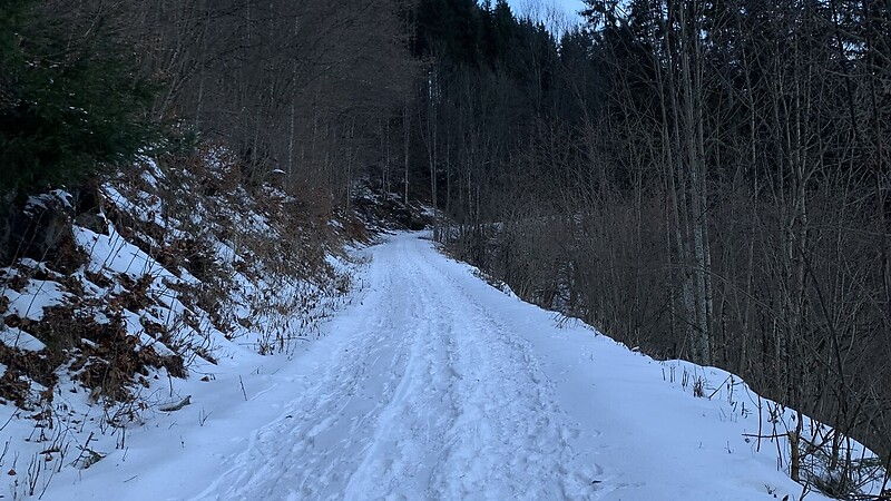 Zemljevid