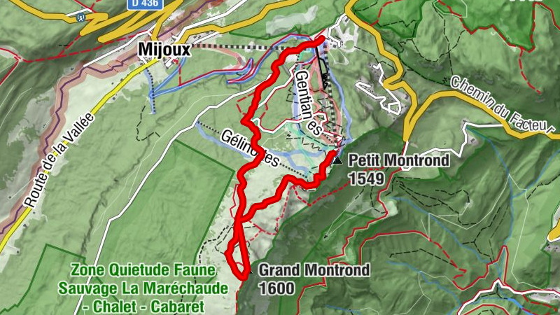Zemljevid